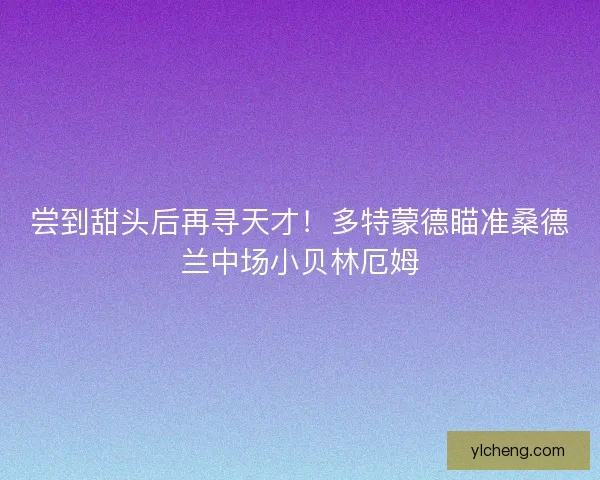 尝到甜头后再寻天才！多特蒙德瞄准桑德兰中场小贝林厄姆